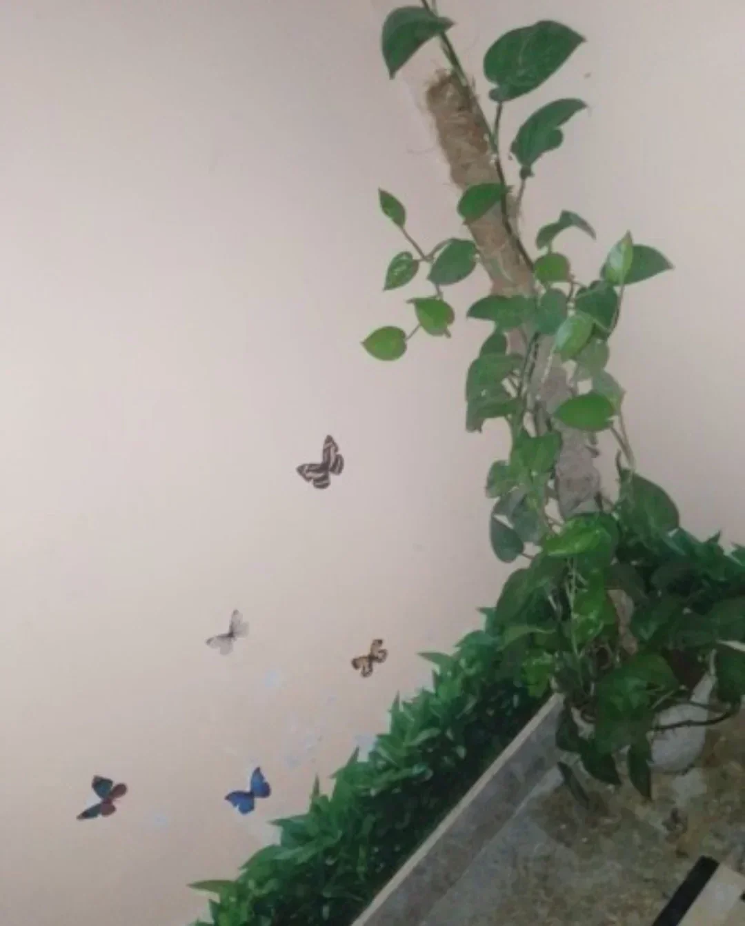 3D P.V.C GREEN GRASS WALL STICKER WITH BUTTERFLY - Image 22